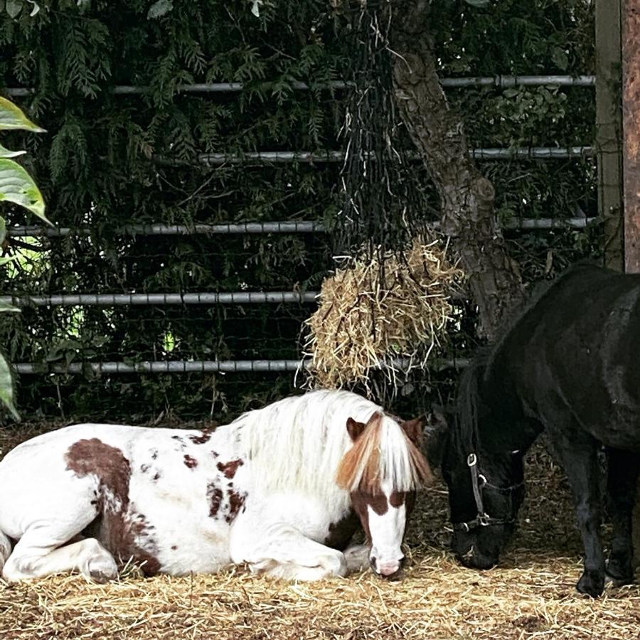 The Stable Annexe & Spa Dogdyke Luaran gambar