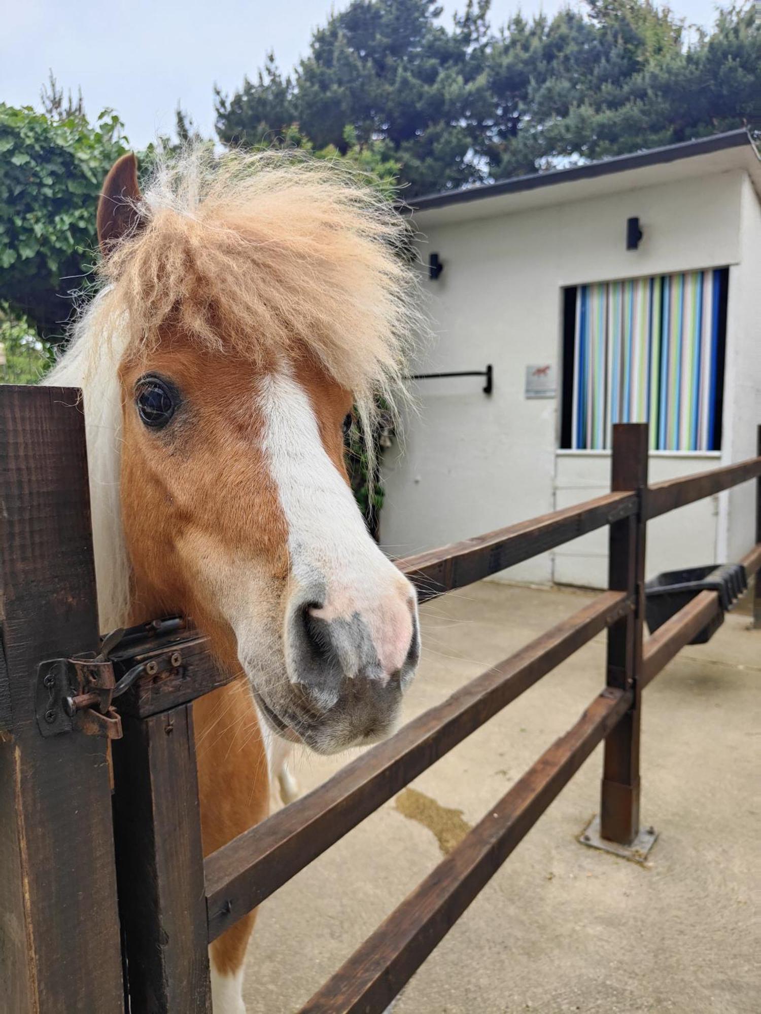 The Stable Annexe & Spa Dogdyke Luaran gambar